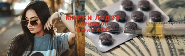 прущие грибы Строитель