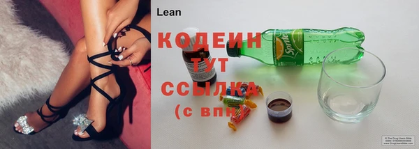 гидропоника Гусиноозёрск