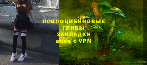 гидропоника Гусиноозёрск
