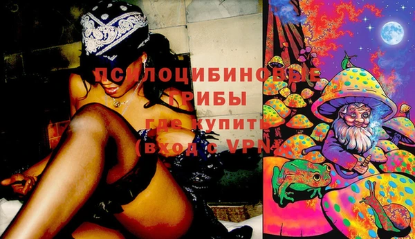 тгк Гусь-Хрустальный