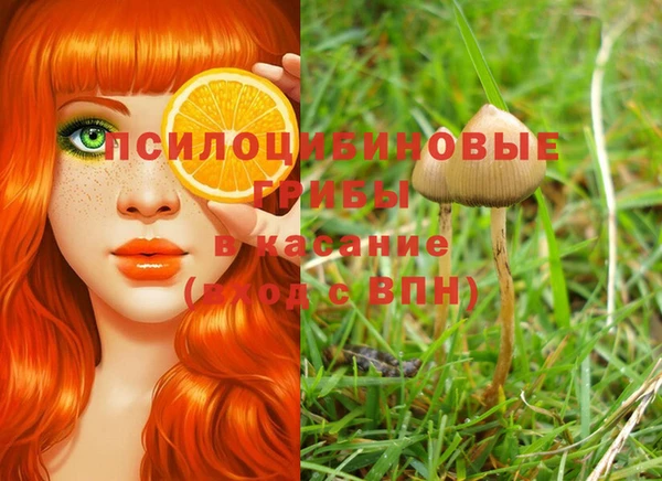 гашишное масло Гусев